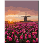Painting by Numbers Netherlands Holland Tulips Windmill